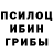 Псилоцибиновые грибы Cubensis ACTEPOUID