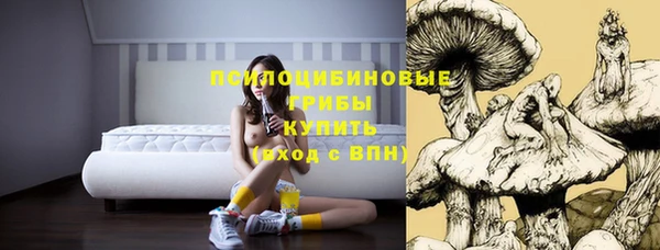ПСИЛОЦИБИНОВЫЕ ГРИБЫ Богородицк