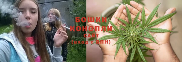 spice Богданович