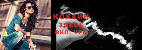 spice Богданович