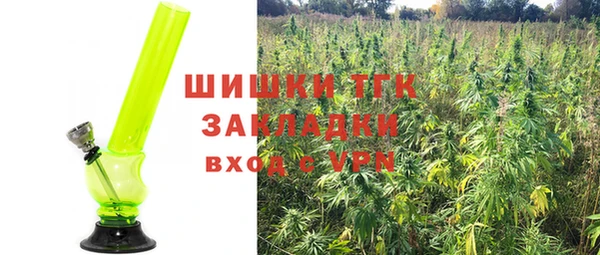 ГАЛЛЮЦИНОГЕННЫЕ ГРИБЫ Богородск