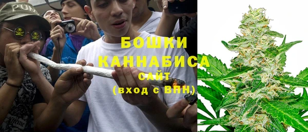 ГАЛЛЮЦИНОГЕННЫЕ ГРИБЫ Богородск