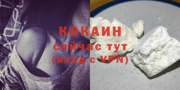 spice Богданович