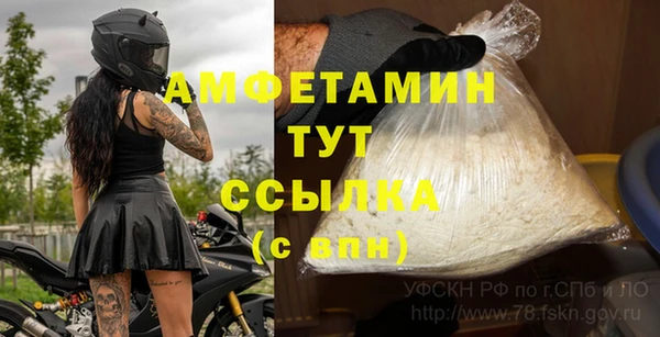 spice Богданович