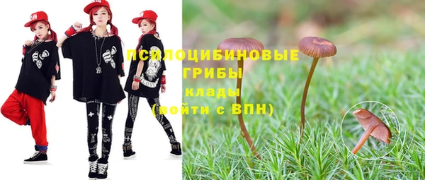 ГАЛЛЮЦИНОГЕННЫЕ ГРИБЫ Богородск